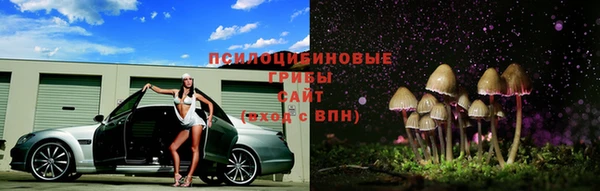 крисы Баксан