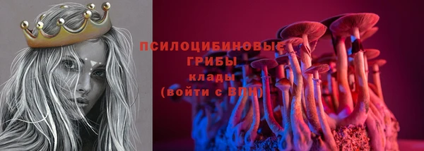 гашик Балахна
