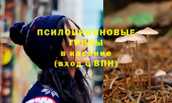 крисы Баксан
